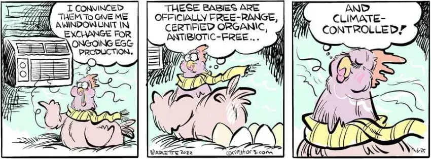 Shrimp and Grits for Jun 25, 2022