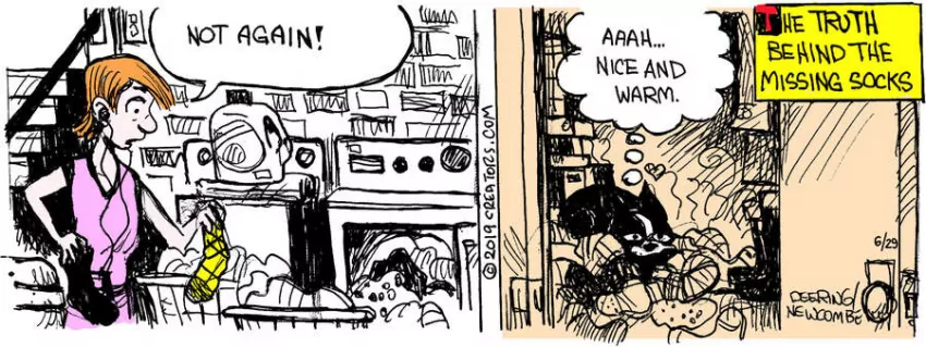 Zack Hill for Jun 29, 2023