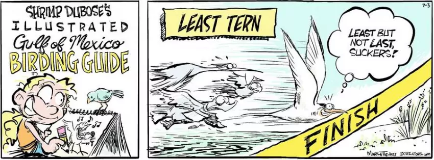 Shrimp and Grits for Jul 03, 2023