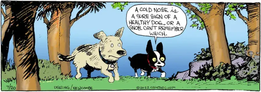 Zack Hill for Jul 20, 2022