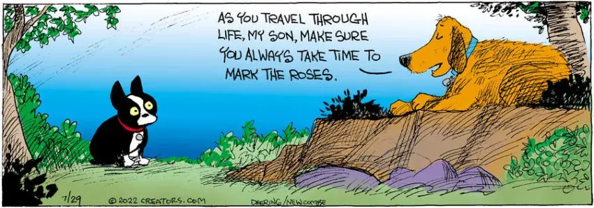 Zack Hill for Jul 29, 2022