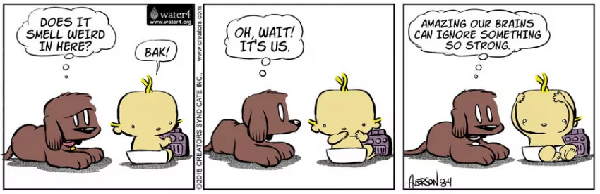 Dog Eat Doug for Aug 04, 2023