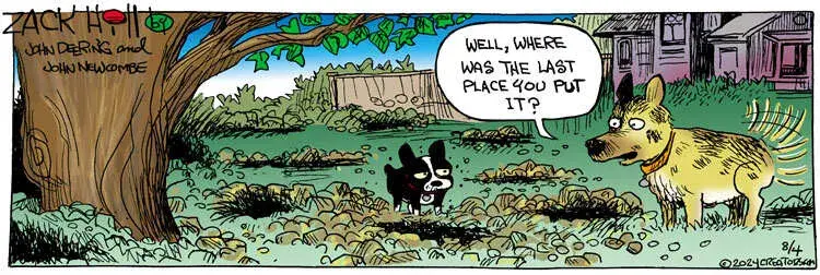 Zack Hill for Aug 04, 2024