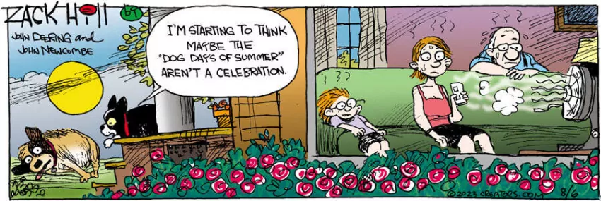 Zack Hill for Aug 06, 2023