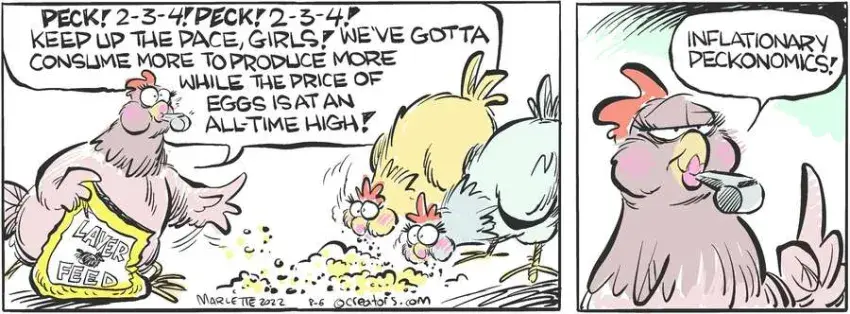 Shrimp and Grits for Aug 06, 2024