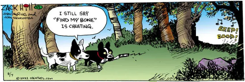 Zack Hill for Aug 07, 2022