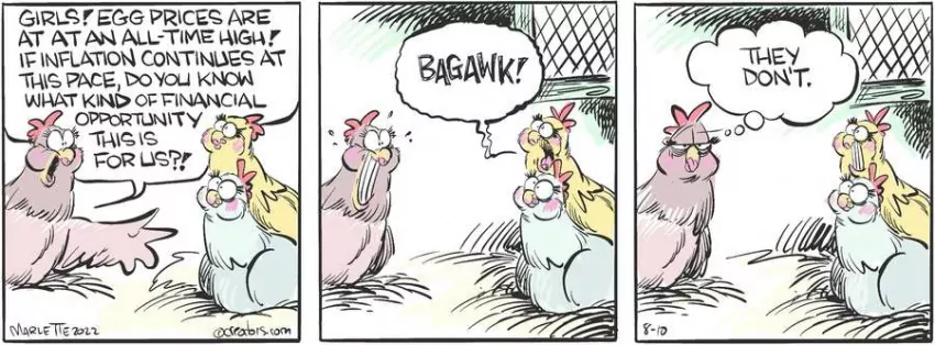 Shrimp and Grits for Aug 10, 2022