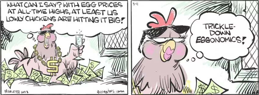 Shrimp and Grits for Aug 11, 2022