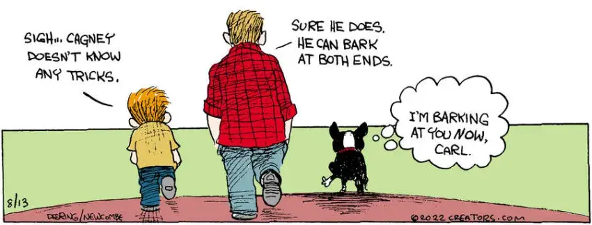 Zack Hill for Aug 13, 2022