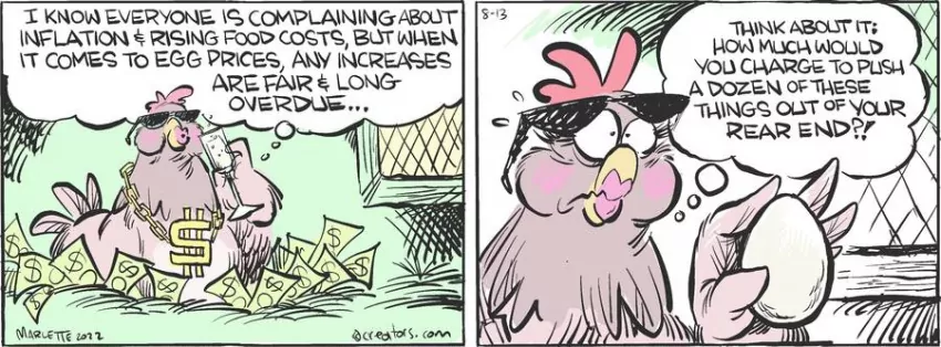 Shrimp and Grits for Aug 13, 2022