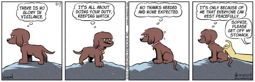 Dog Eat Doug for Aug 17, 2022