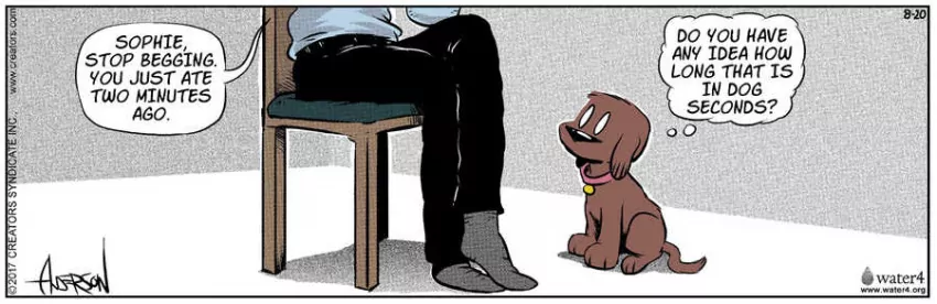 Dog Eat Doug for Aug 20, 2022