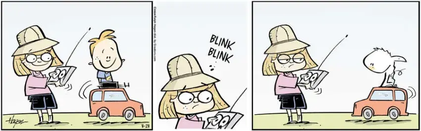 The Barn for Aug 28, 2024