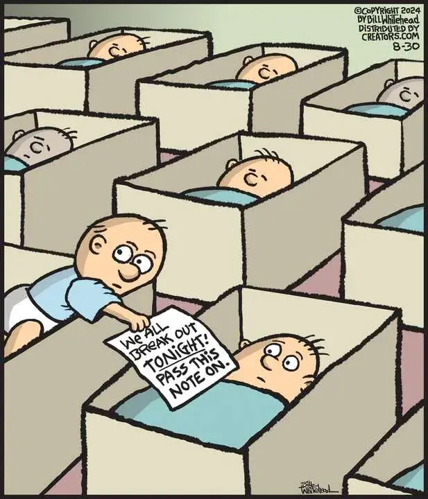 Free Range for Aug 30, 2024