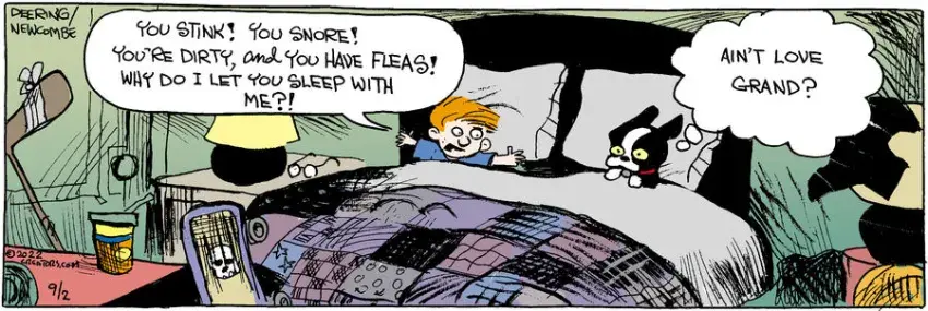 Zack Hill for Sep 02, 2022