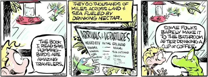 Shrimp and Grits for Sep 03, 2024