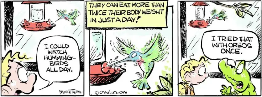 Shrimp and Grits for Sep 07, 2022