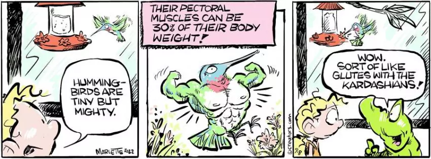 Shrimp and Grits for Sep 08, 2022