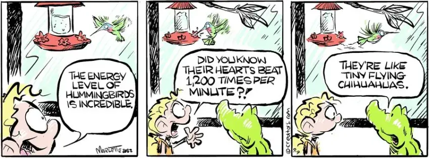 Shrimp and Grits for Sep 09, 2022