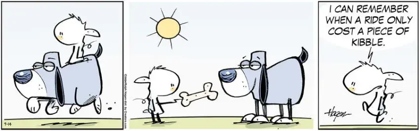 The Barn for Sep 14, 2024