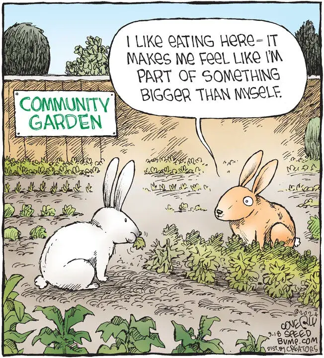 Speed Bump for Sep 18, 2024