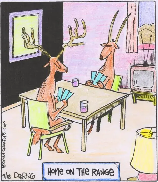 Strange Brew for Sep 18, 2024