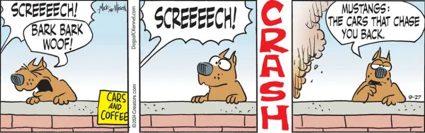 Dogs of C-Kennel for Sep 27, 2024