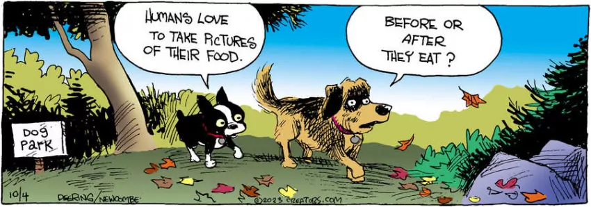 Zack Hill for Oct 04, 2023