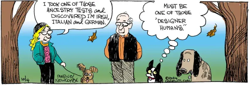 Zack Hill for Oct 04, 2024