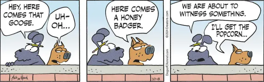 Dogs of C-Kennel for Oct 08, 2024