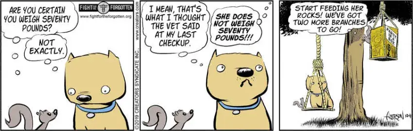 Dog Eat Doug for Oct 11, 2024