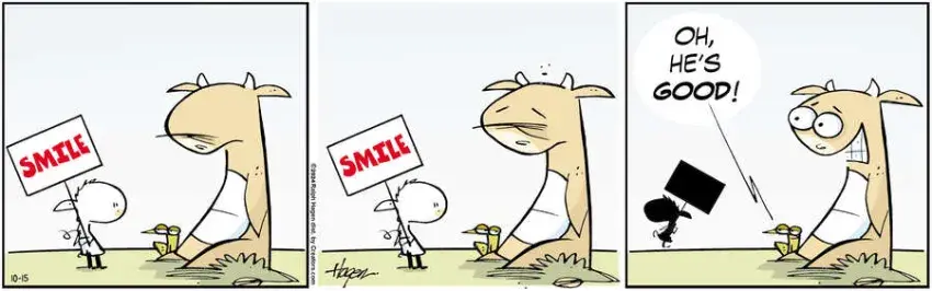 The Barn for Oct 15, 2024