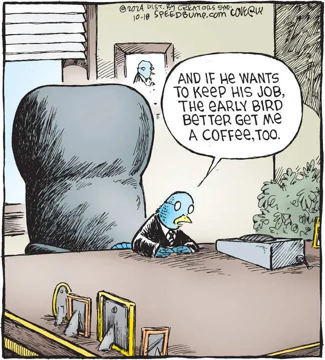 Speed Bump for Oct 18, 2024