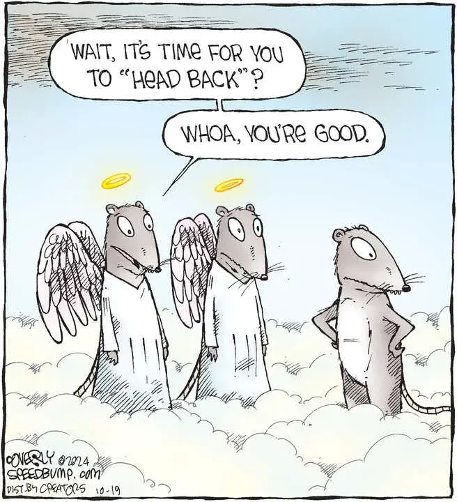 Speed Bump for Oct 19, 2024