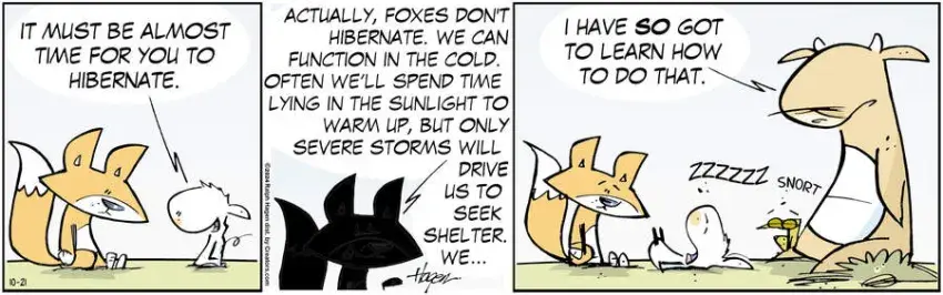 The Barn for Oct 21, 2024