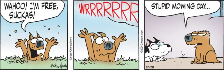 Dogs of C-Kennel for Oct 25, 2024