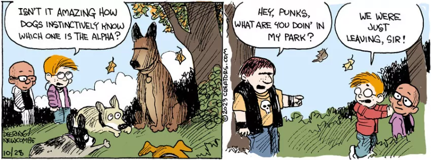 Zack Hill for Oct 28, 2023