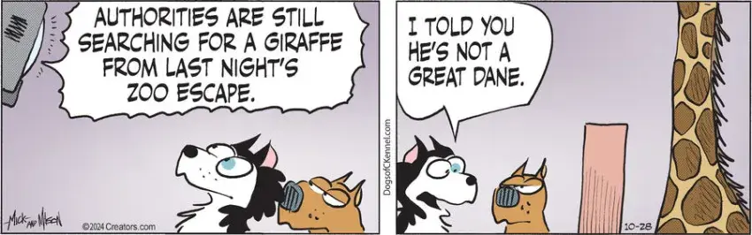 Dogs of C-Kennel for Oct 28, 2024