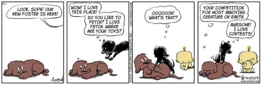 Dog Eat Doug for Nov 01, 2022