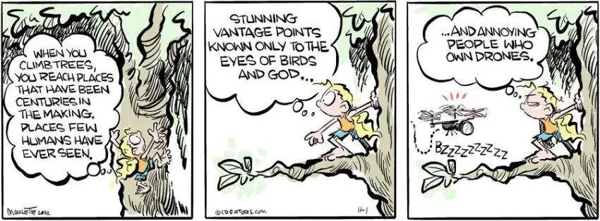 Shrimp and Grits for Nov 01, 2024