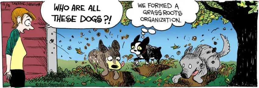 Zack Hill for Nov 05, 2021