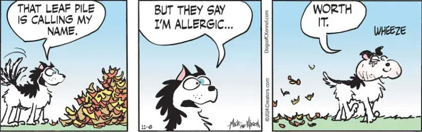 Dogs of C-Kennel for Nov 06, 2024