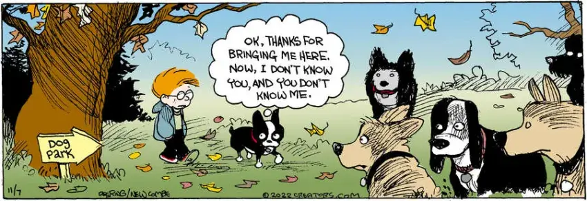 Zack Hill for Nov 07, 2022