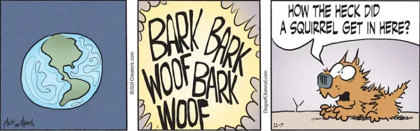 Dogs of C-Kennel for Nov 07, 2024