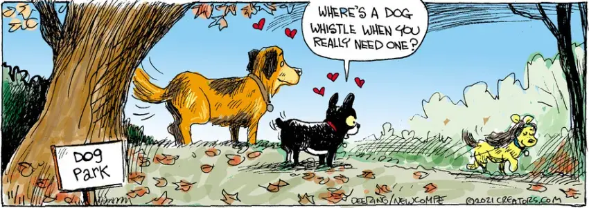 Zack Hill for Nov 11, 2021