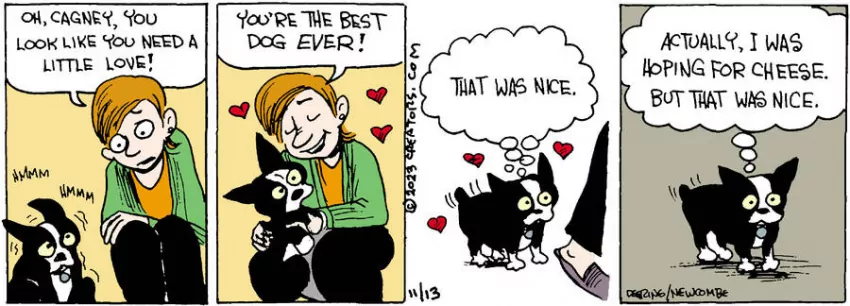 Zack Hill for Nov 13, 2023