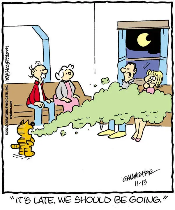 Heathcliff for Nov 13, 2024