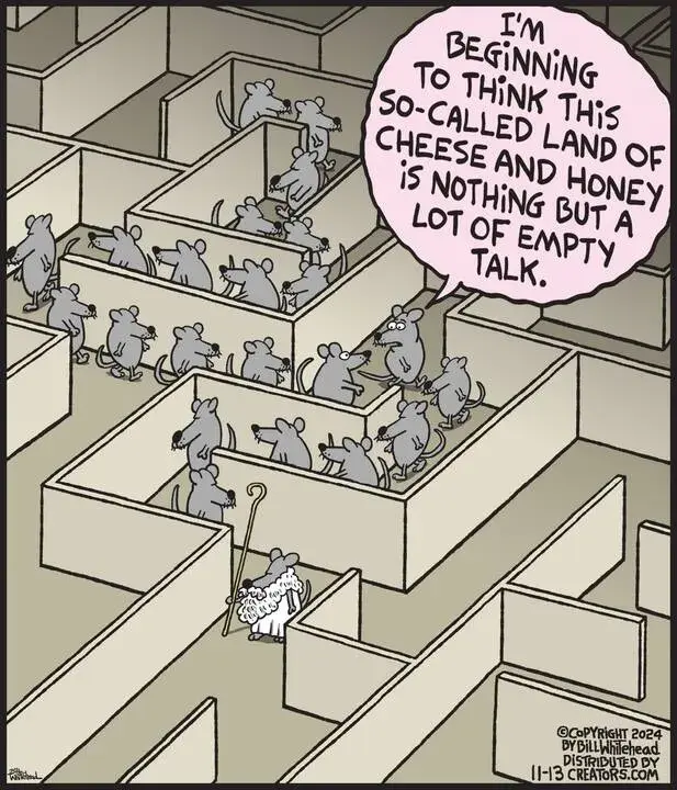 Free Range for Nov 13, 2024