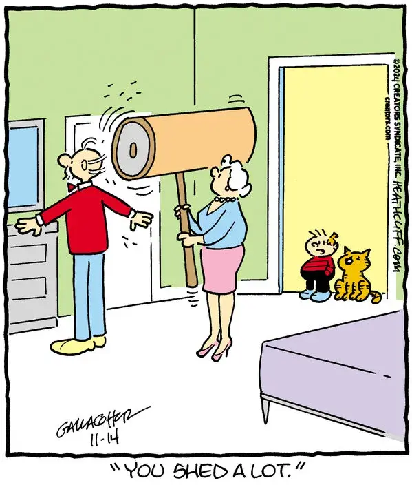 Heathcliff for Nov 14, 2024