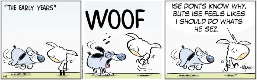 The Barn for Nov 15, 2024